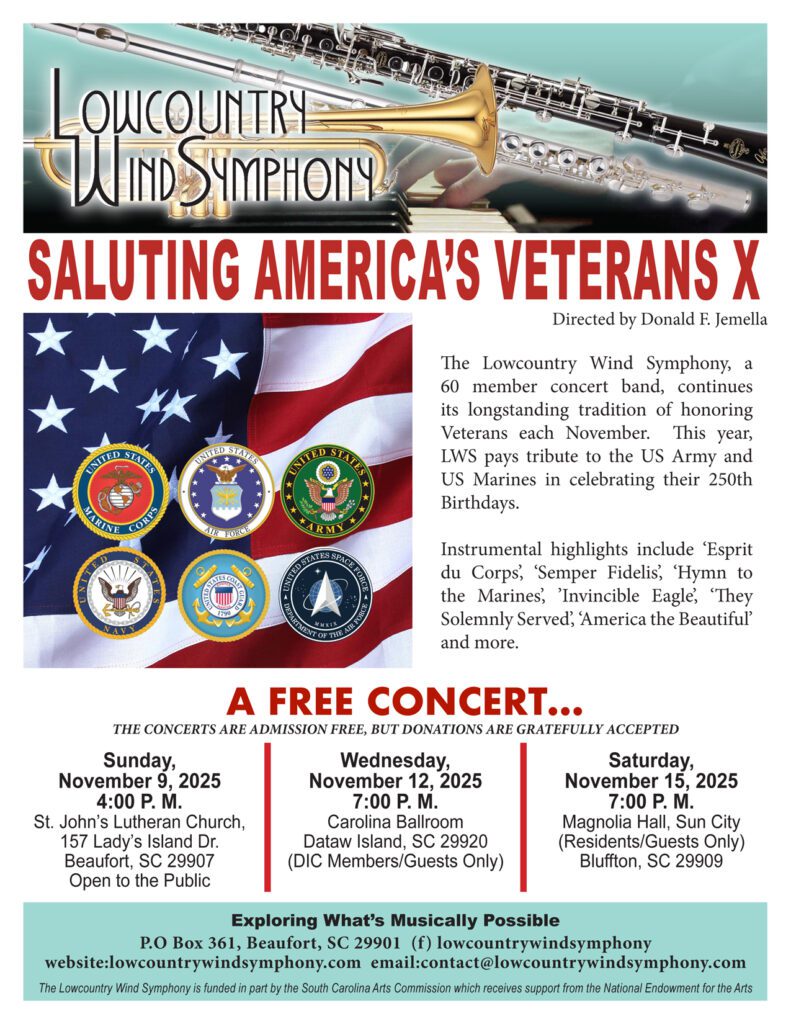 Concert Poster with details